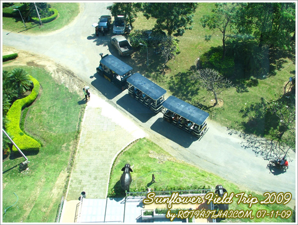 Click on the image for full size